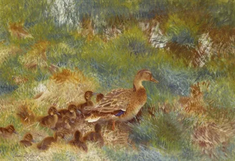 Entenfamilie - Bruno Liljefors