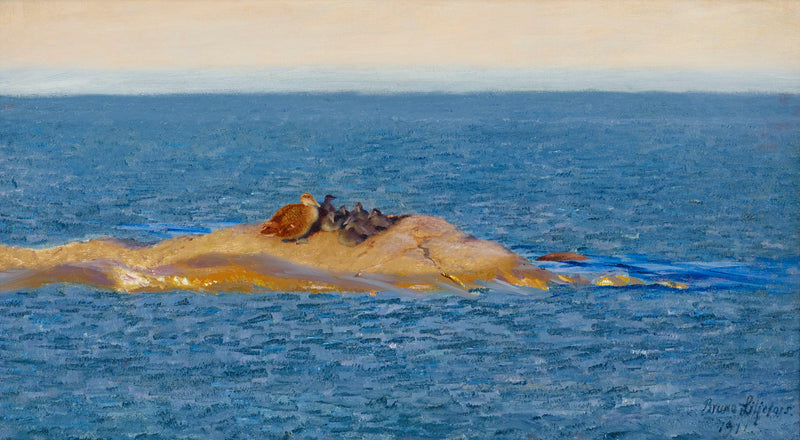 Familie Eider – Bruno Liljefors