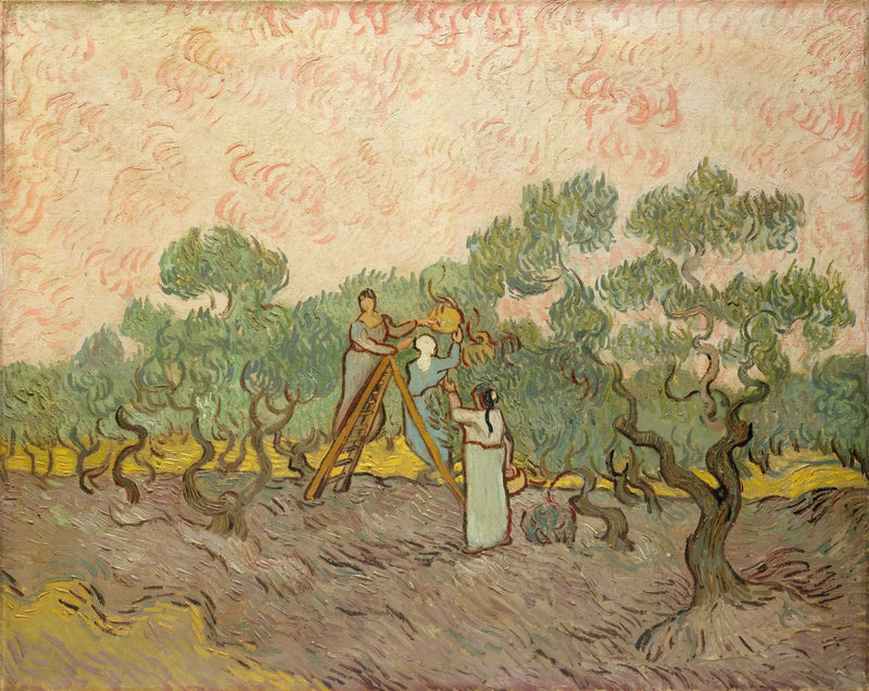Frauen beim Olivensammeln - Vincent van Gogh