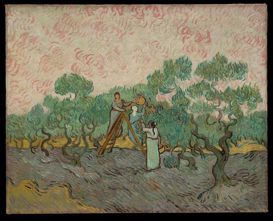 Frauen beim Olivensammeln - Vincent van Gogh