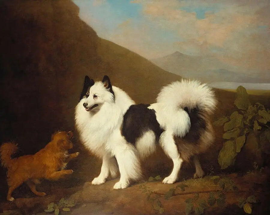 Fino und Tiny - George Stubbs