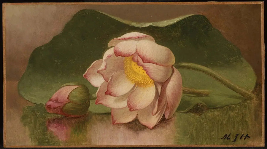 Lotusblume - Martin Johnson Heade