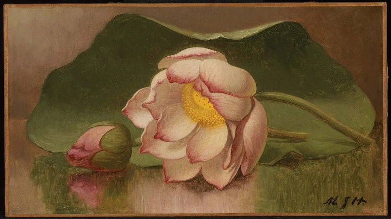 Lotusblume - Martin Johnson Heade