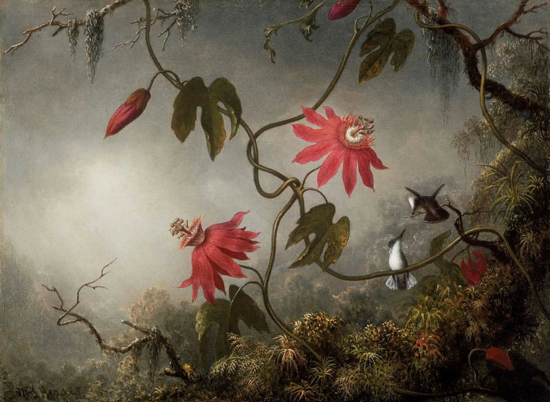 Blumen der Leidenschaft und Kolibris - Martin Johnson Heade