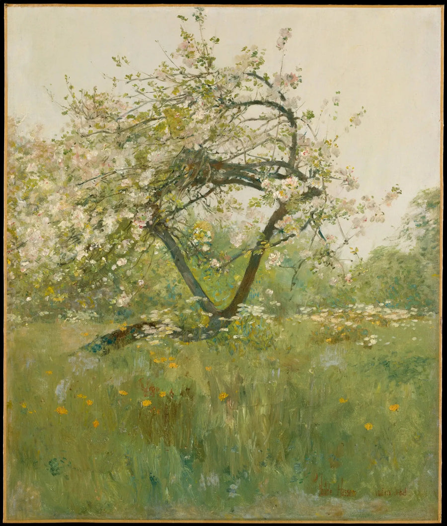Pfingstrosenblumen — Villiers-le-Bel - Childe Hassam