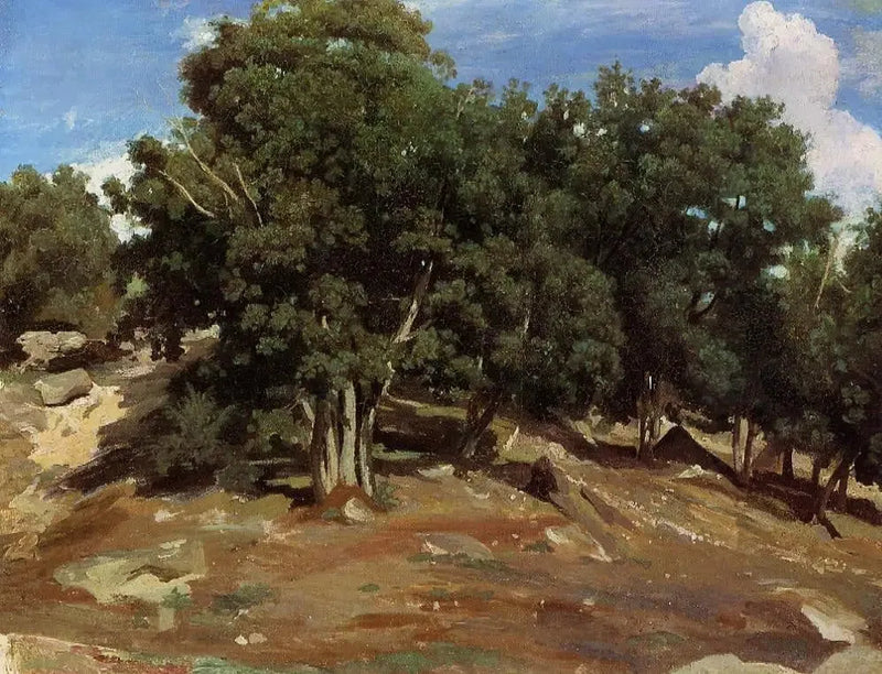 Fontainebleau – Schwarze Eichen des Bas-Préau - Jean-Baptiste Camille Corot