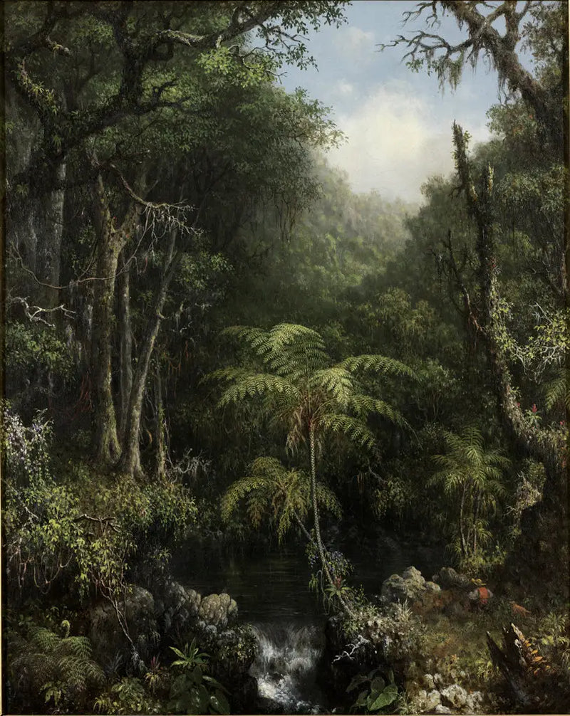 Brasilianischer Regenwald - Martin Johnson Heade