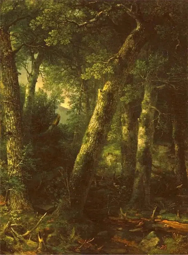 Wald im Morgenlicht - Asher Brown Durand