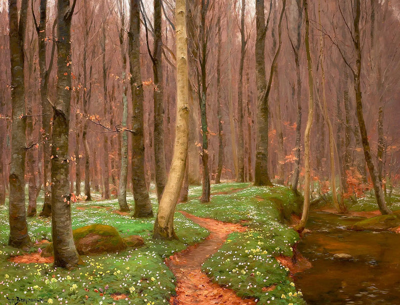Buchenwald mit blühenden Anemonen und einem kleinen Bach. - H. A. Brendekilde