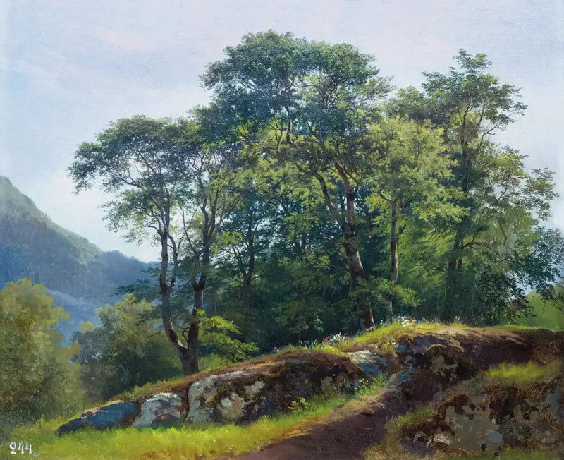 Buchenwald in der Schweiz - Ivan Chichkine
