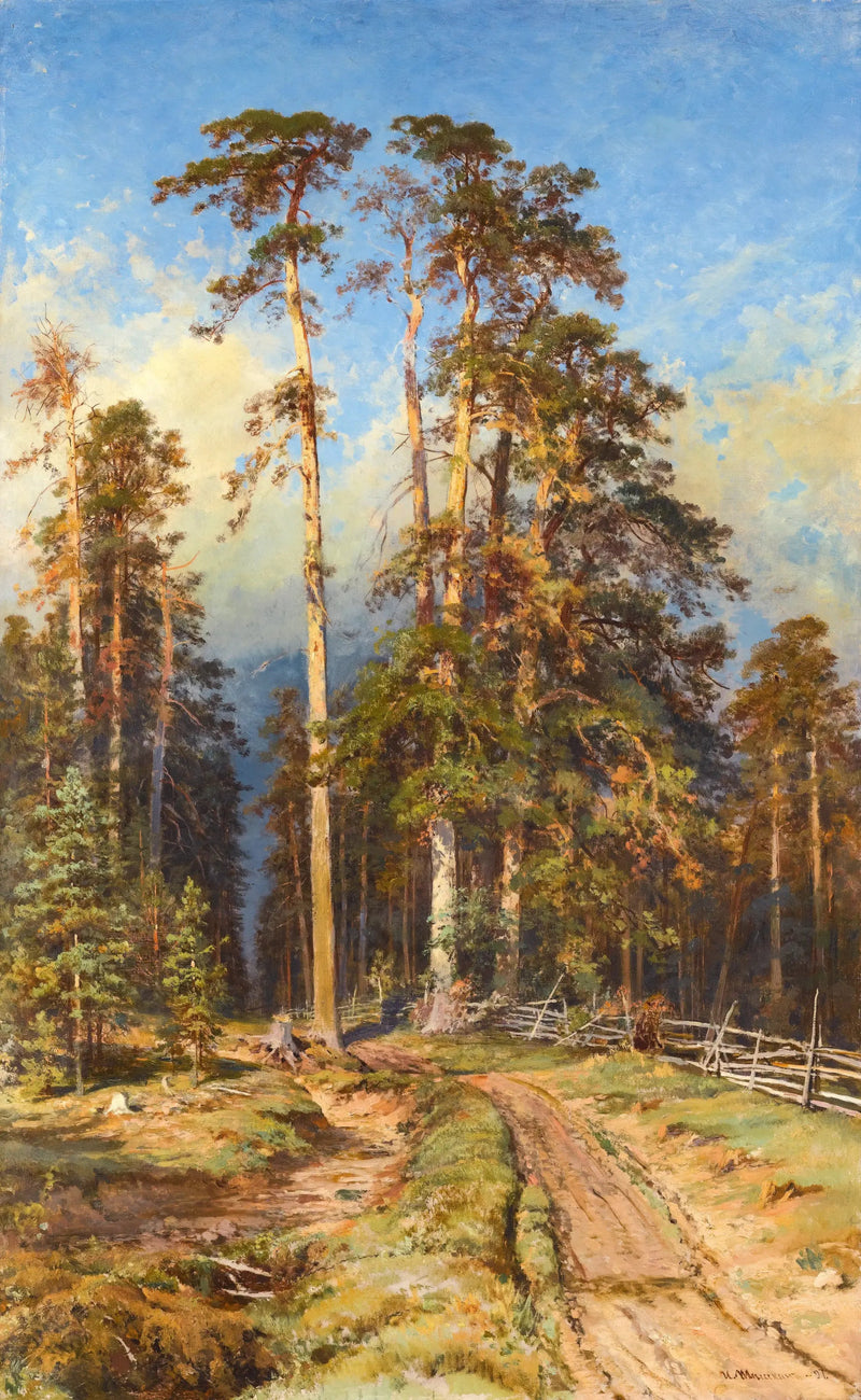 Kiefernwald - Ivan Chichkine
