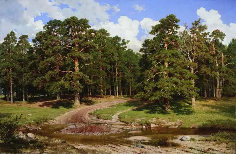 Kiefernwald - Ivan Chichkine