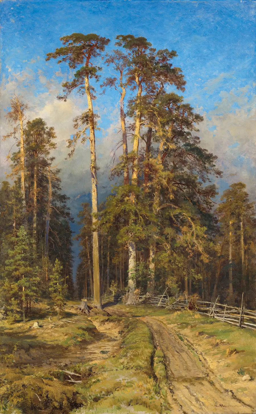 Kiefernwald - Ivan Chichkine