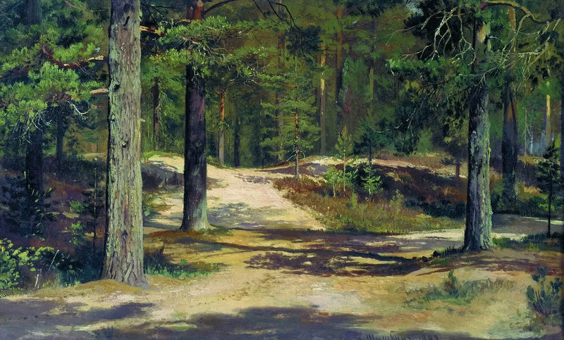 Kiefernwald - Ivan Chichkine