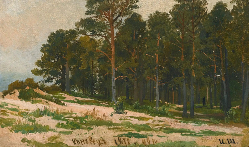 Kiefernwald - Ivan Chichkine