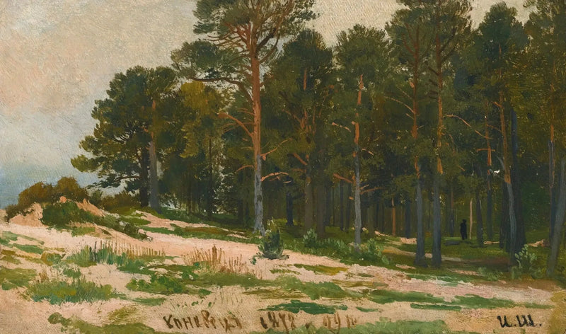 Kiefernwald - Ivan Chichkine