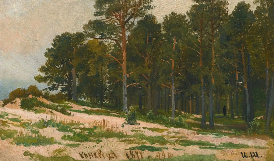 Kiefernwald - Ivan Chichkine