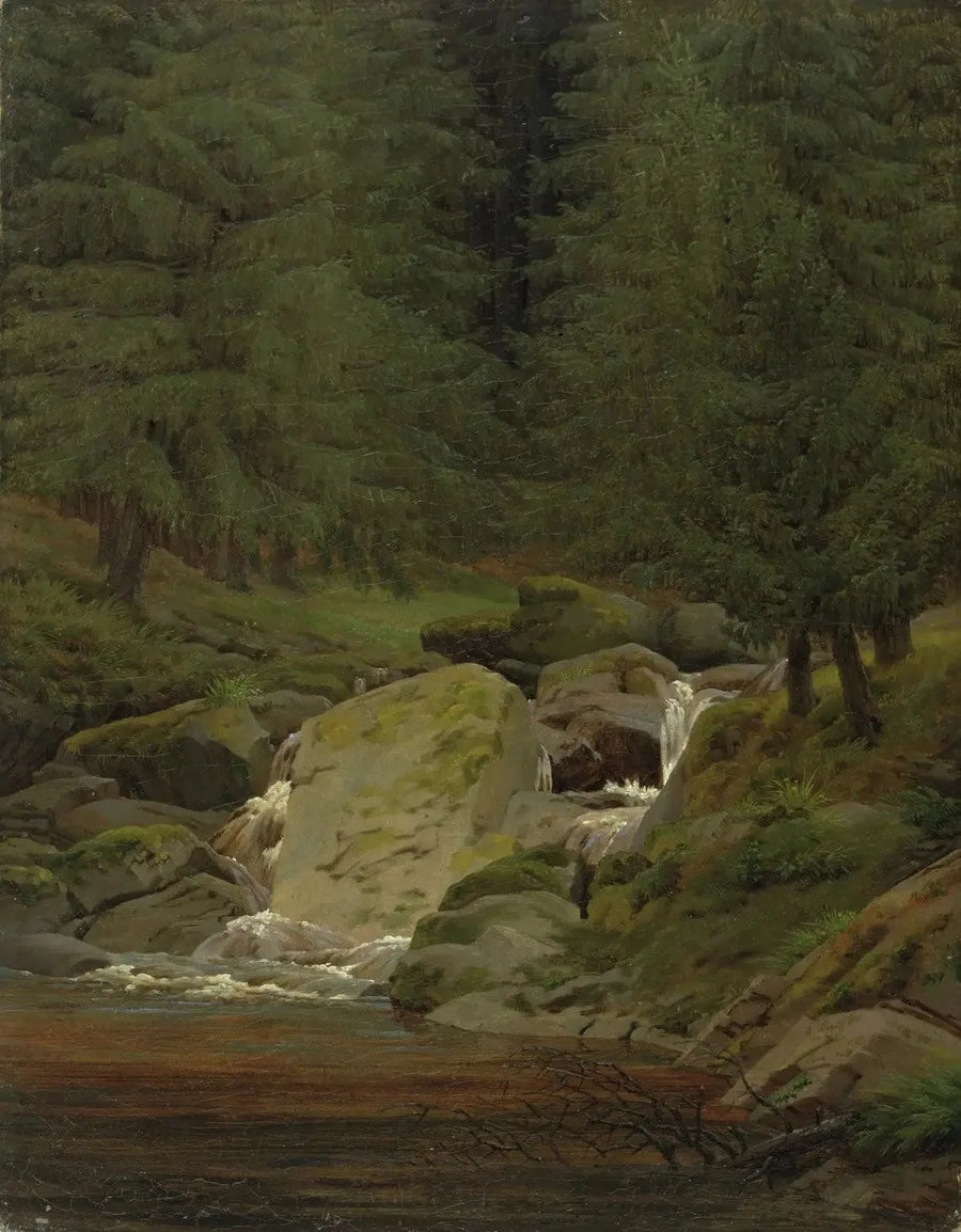 Tannenwald mit Wasserfall - Caspar David Friedrich