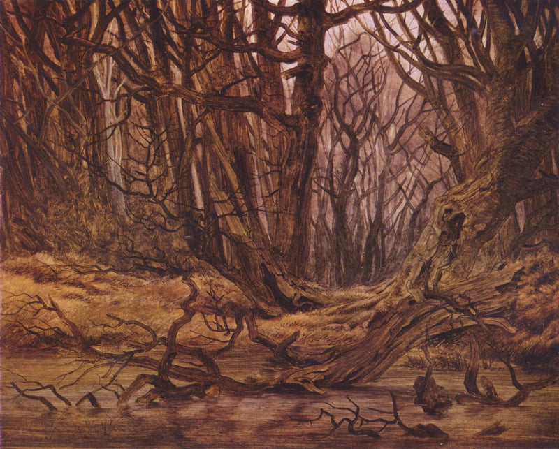 Wald im späten Herbst - Caspar David Friedrich