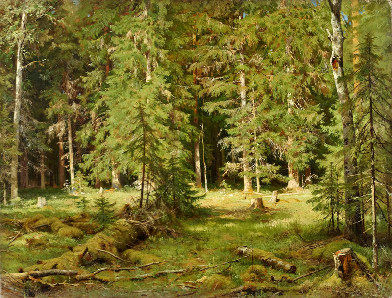 Wald - Ivan Chichkine