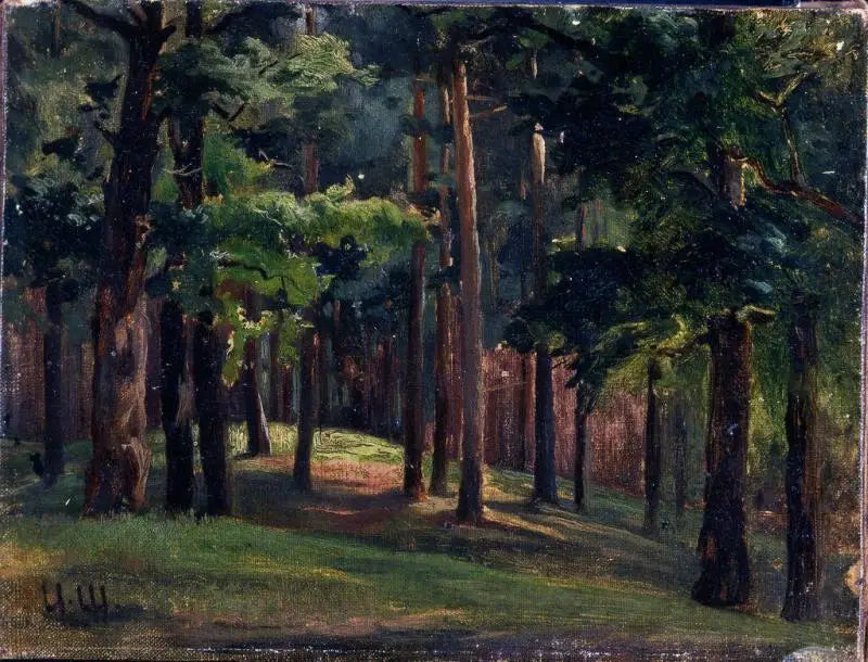 Wald - Ivan Chichkine