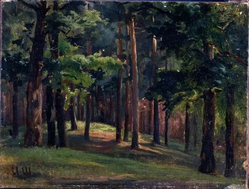 Wald - Ivan Chichkine