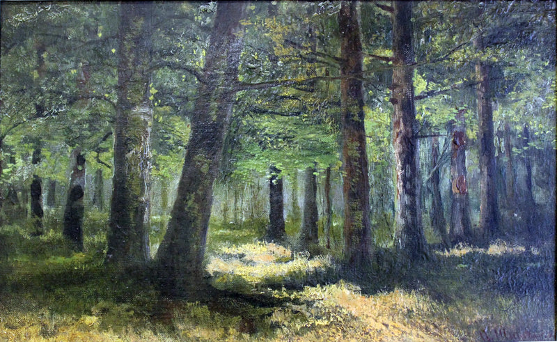 Wald - Ivan Chichkine