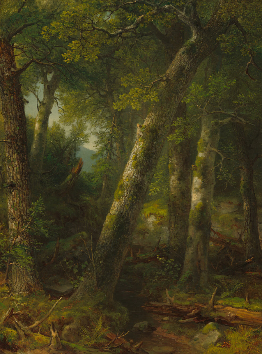 Forêt à la lumière du matin - Asher Brown Durand