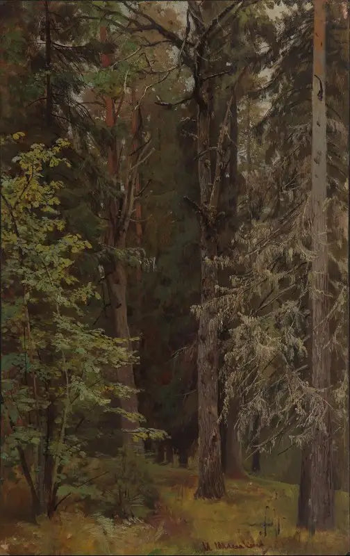 Mischwald - Ivan Chichkine