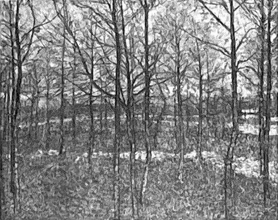 Forêt, Frühling - Kazimir Malevich