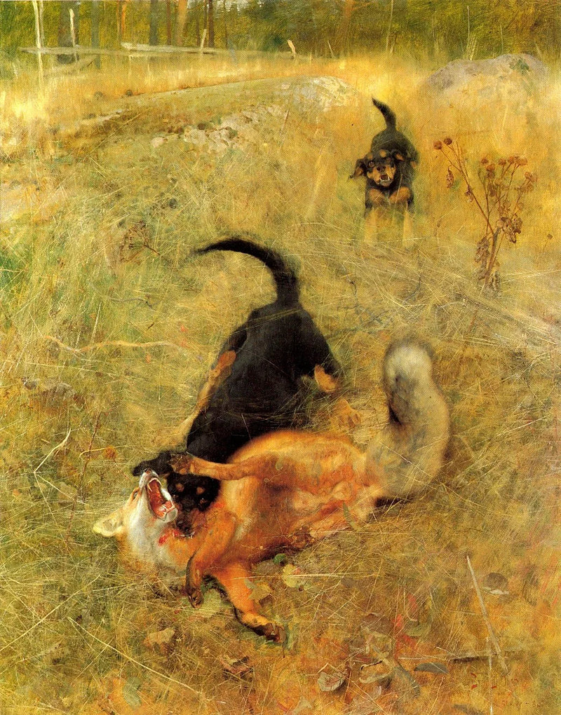 Schwedischer Foxhound und Fuchs - Bruno Liljefors