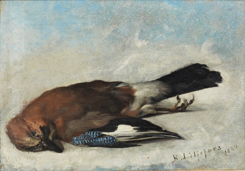 Eurasischer Eichelhäher – Bruno Liljefors