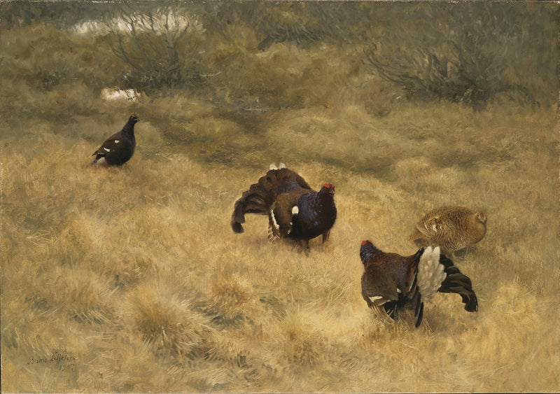 Schwarzes Spiel im Frühling – Bruno Liljefors