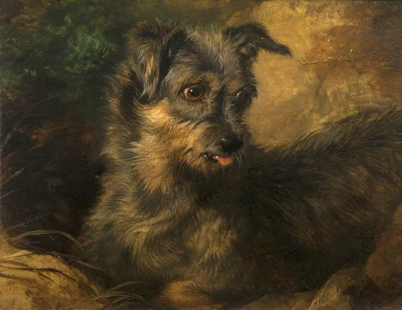 Ingwer' - Edwin Henry Landseer