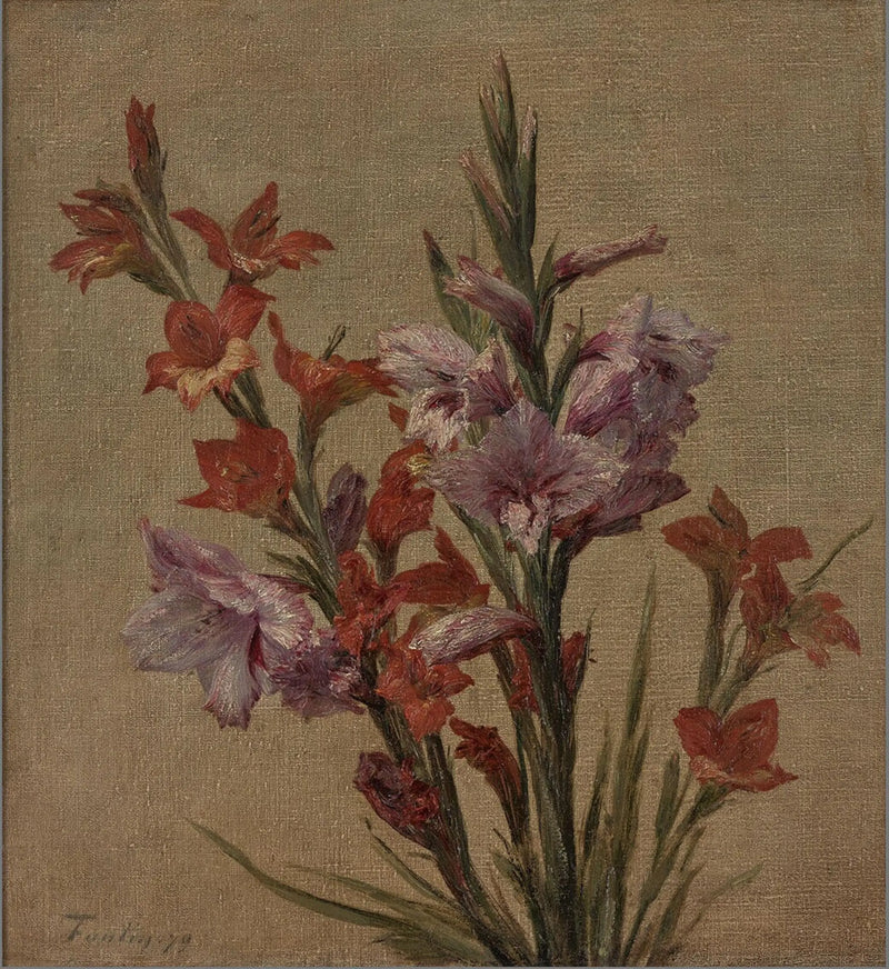 Gladiole - Henri Fantin-Latour