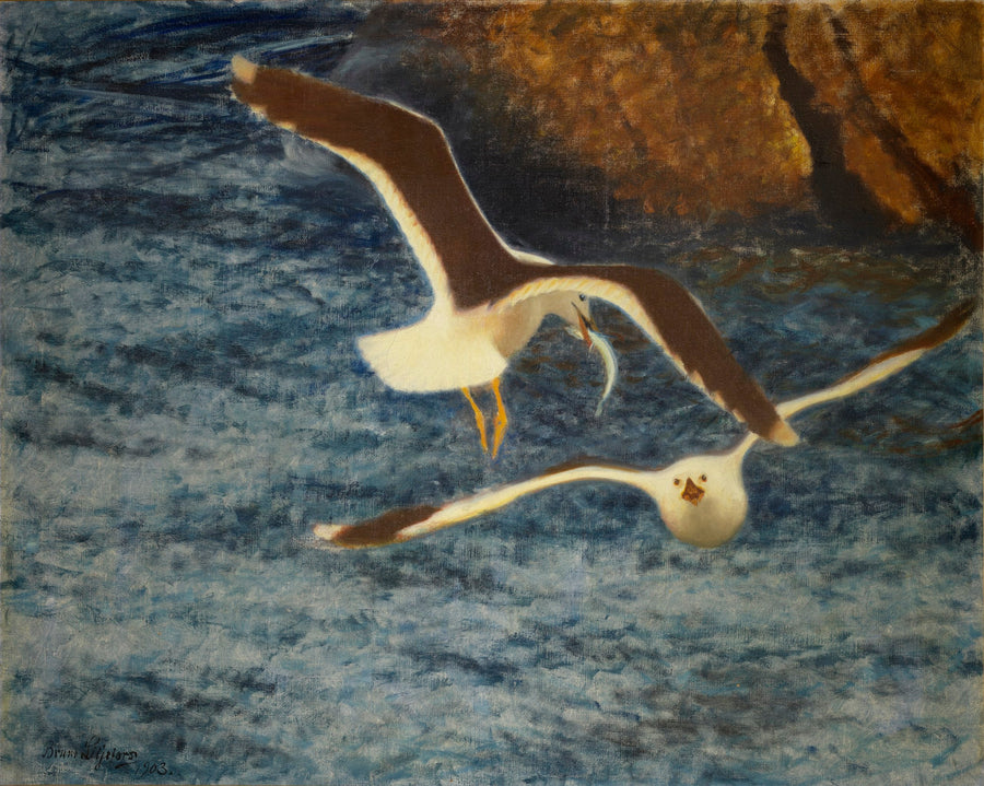 Braune Möwen im Flug – Bruno Liljefors