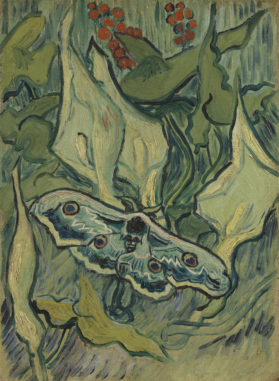 Großer Nachtpfau - Vincent van Gogh