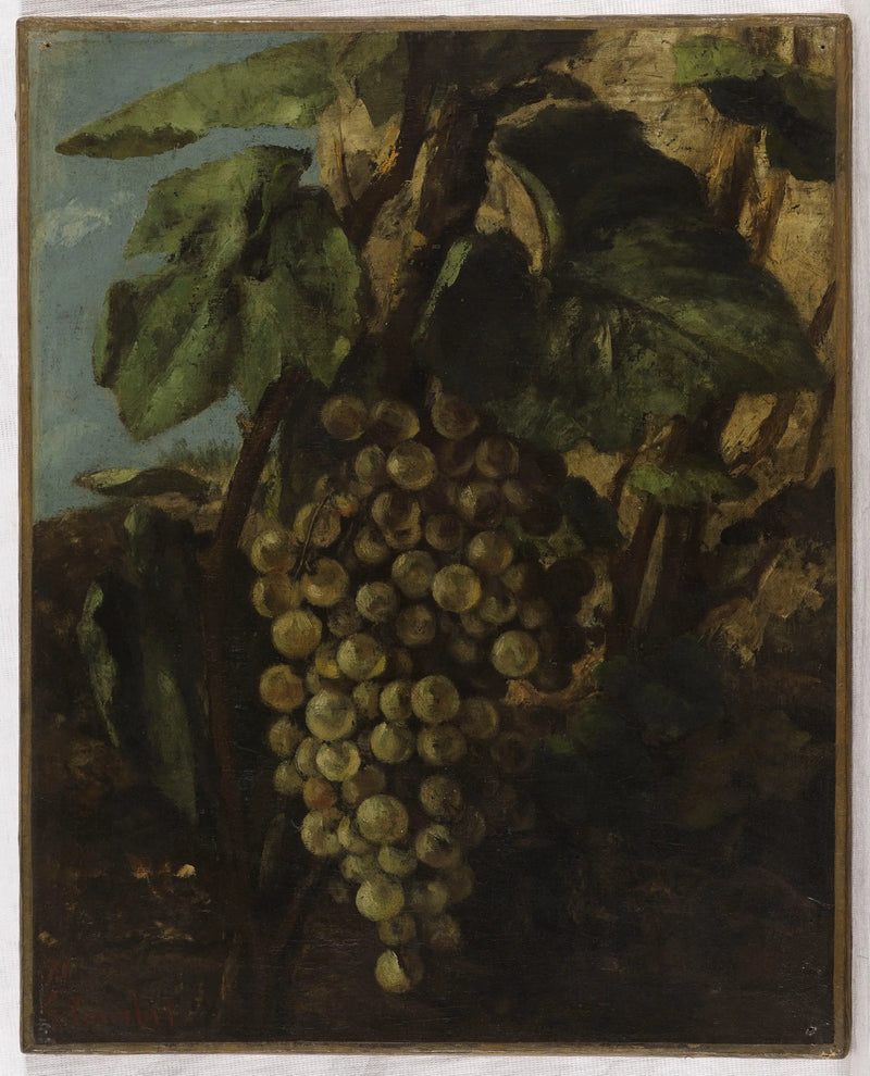 Traube - Gustave Courbet