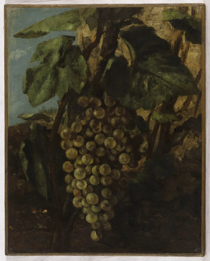 Traube - Gustave Courbet