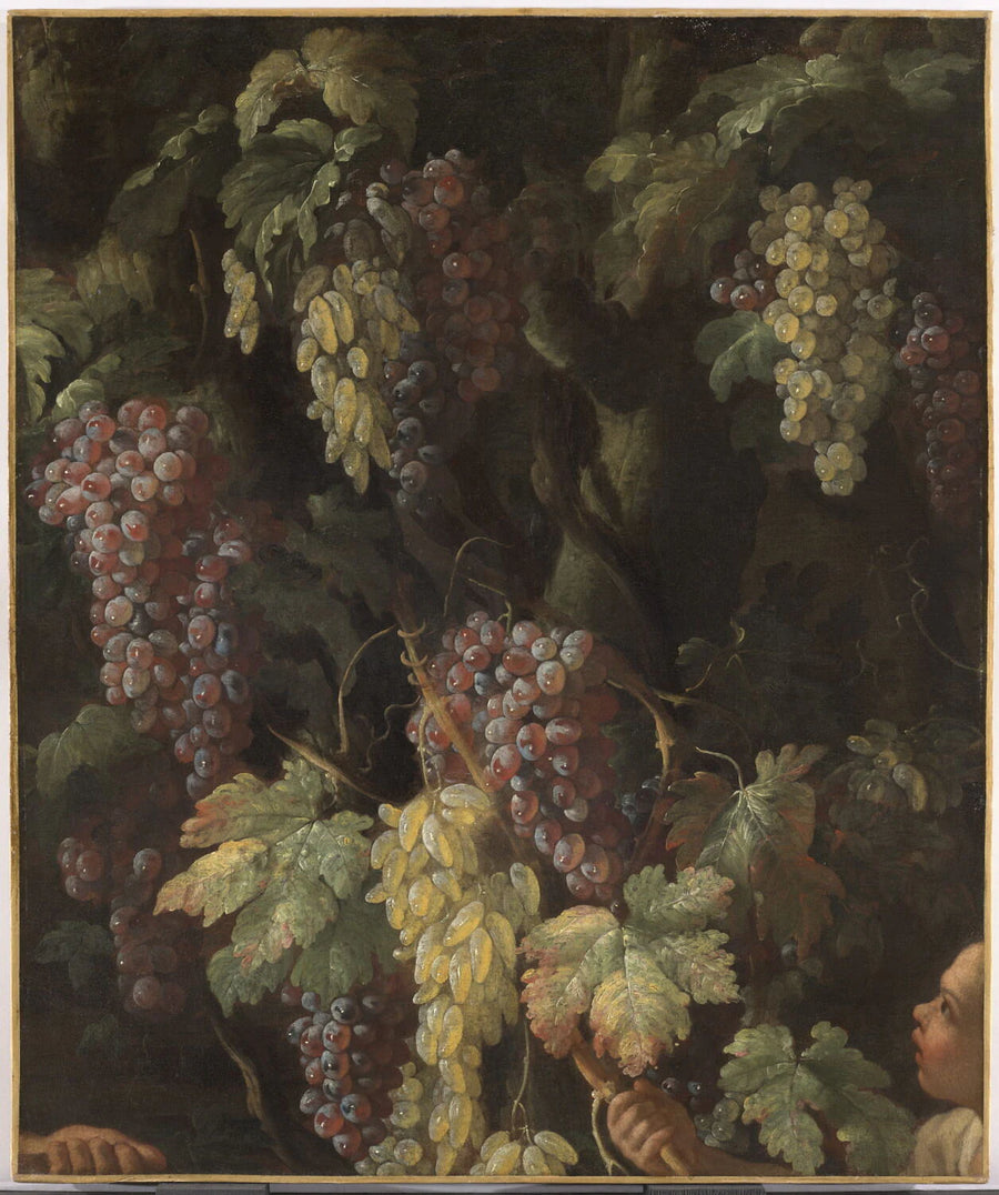Grappes de raisins autour d'un tronc d'arbre - Giovanni Battista Ruoppolo
