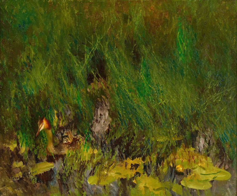 Haubentaucher - Bruno Liljefors