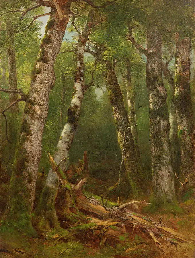 Baumgruppe - Asher Brown Durand