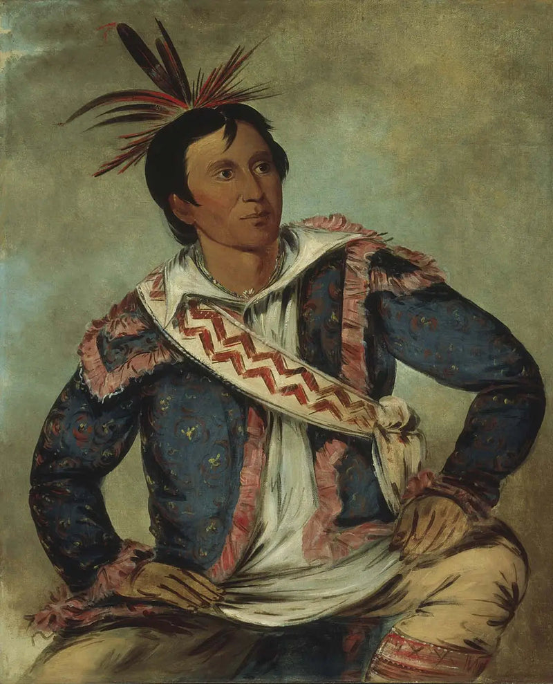 Há-tchoo-túc-knee, serpentine schildkröte, eine métisse - George Catlin