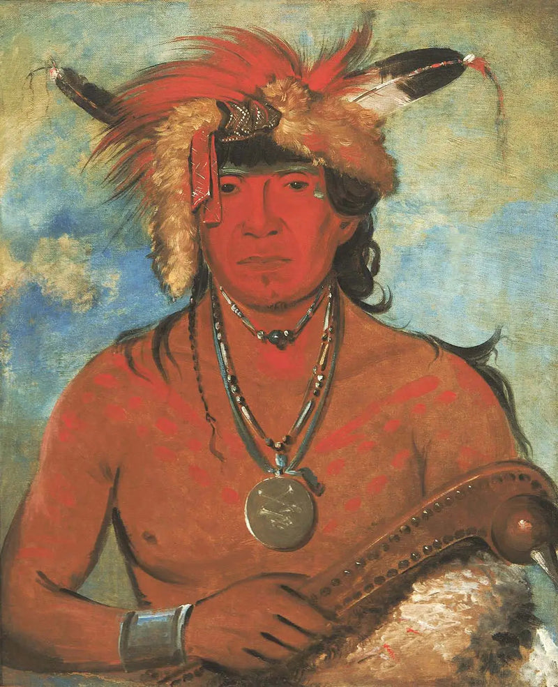 Háh-je-day-ah'-shee, Begegnung mit den Vögeln, un brave - George Catlin