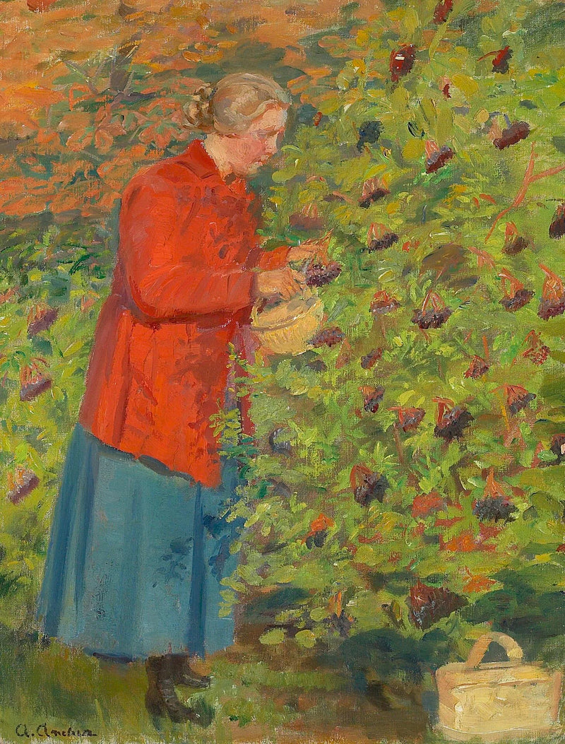 Helga Ancher pflückt Holunderbeeren. - Anna Ancher