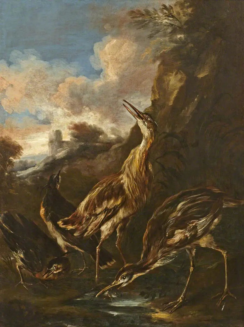Reiher und Bekassinen - Melchior de Hondecoeter