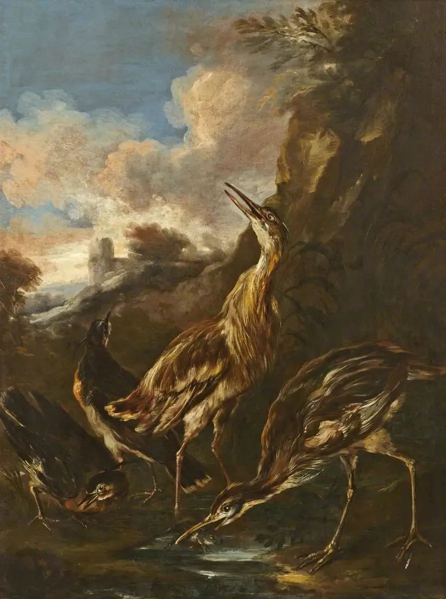 Reiher und Bekassinen - Melchior de Hondecoeter