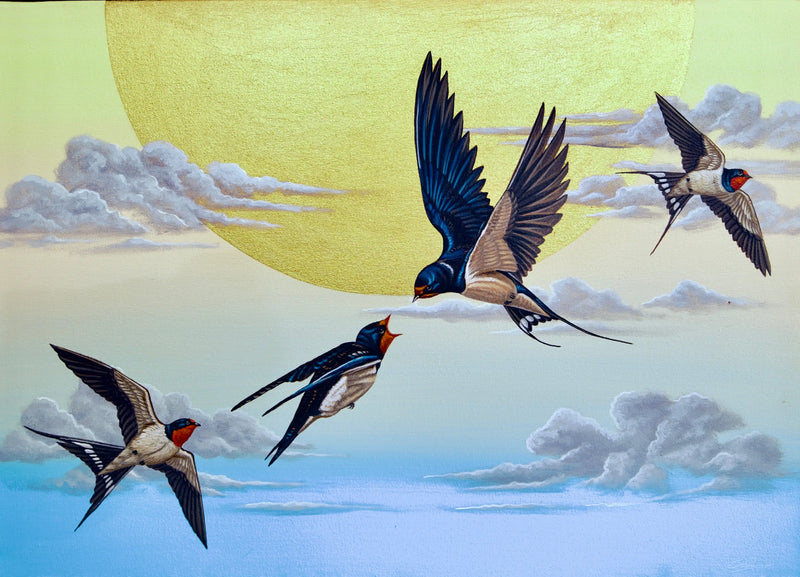 Schwalbe im Himmel  | 70 x 50 cm