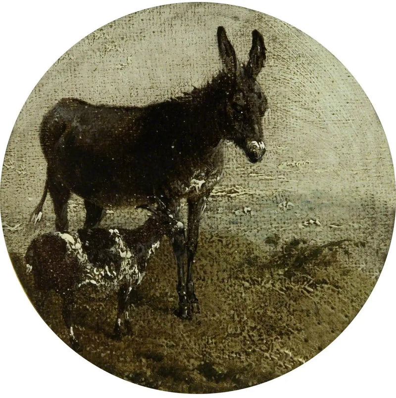 Acht kreisförmige Bauernhofszenen: Esel und Ziege - John Frederick Herring, Sr.