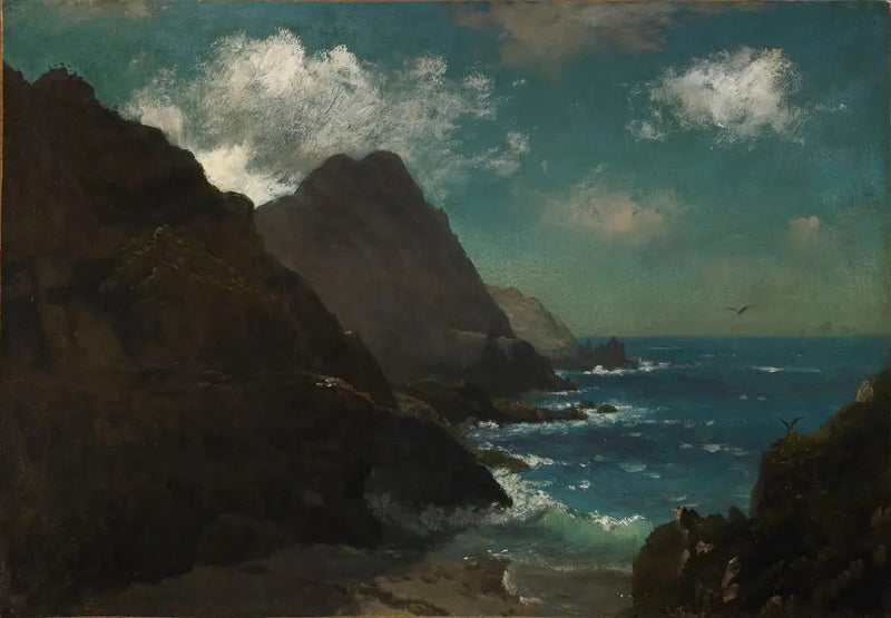 Farallon-Inseln - Albert Bierstadt